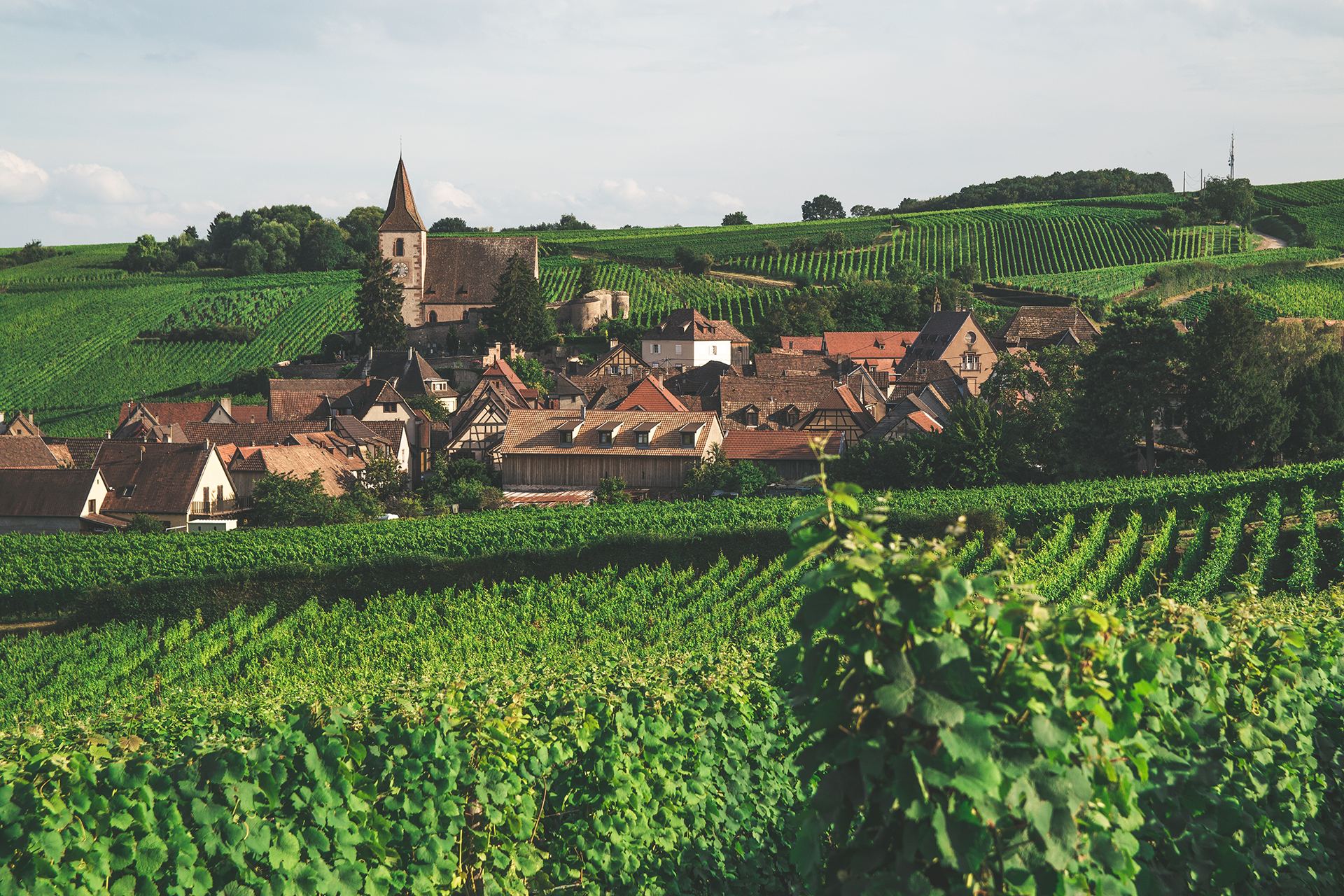 Französische Frankreich Weine Weingraf GmbH online & zuhause kaufen – erleben